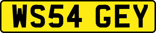 WS54GEY
