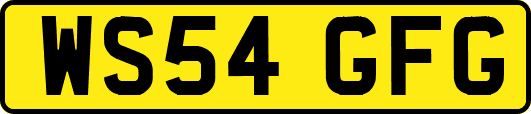 WS54GFG