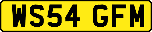 WS54GFM