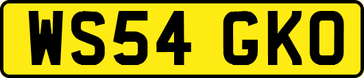 WS54GKO