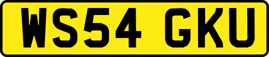 WS54GKU