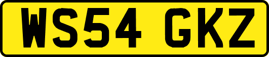 WS54GKZ