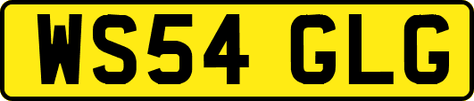 WS54GLG