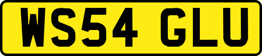 WS54GLU