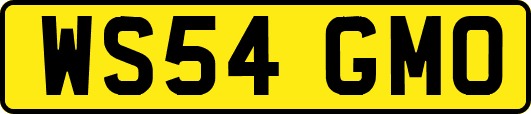 WS54GMO