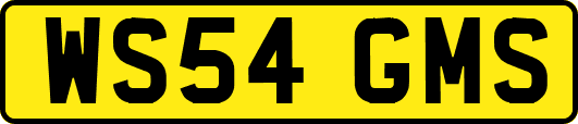 WS54GMS