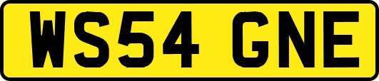 WS54GNE