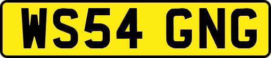 WS54GNG