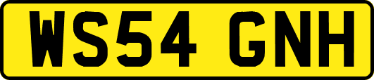 WS54GNH