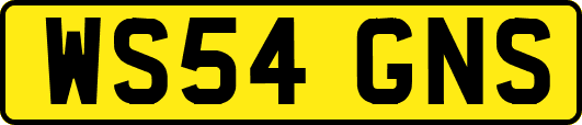 WS54GNS