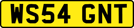 WS54GNT