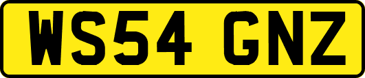 WS54GNZ