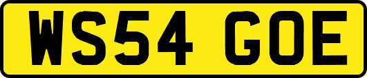 WS54GOE