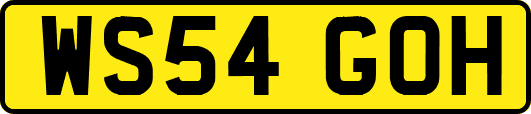 WS54GOH
