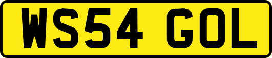 WS54GOL