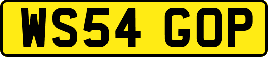 WS54GOP