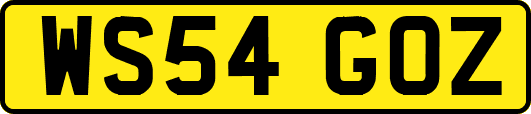 WS54GOZ