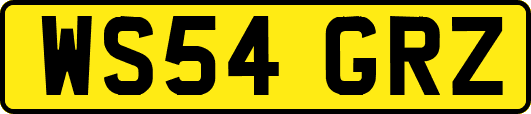 WS54GRZ
