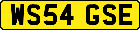 WS54GSE