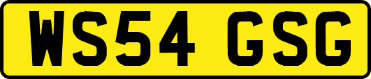 WS54GSG
