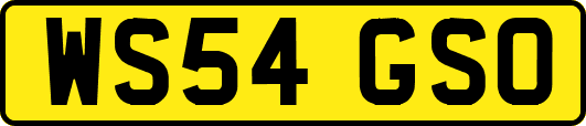 WS54GSO