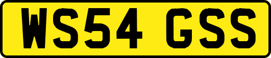 WS54GSS