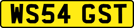 WS54GST