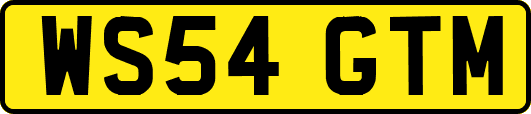 WS54GTM