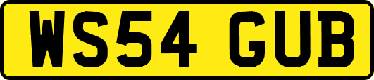 WS54GUB