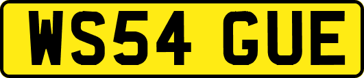 WS54GUE