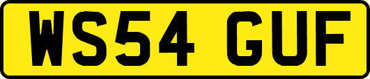 WS54GUF