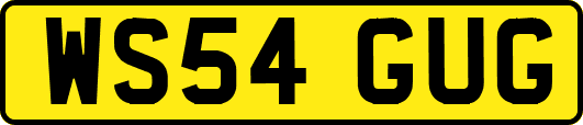 WS54GUG