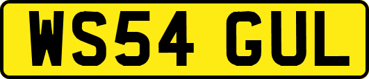WS54GUL