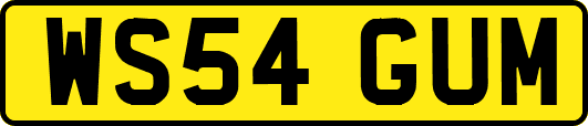 WS54GUM