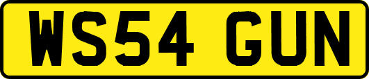 WS54GUN