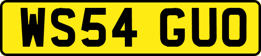 WS54GUO