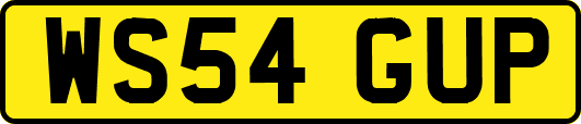 WS54GUP