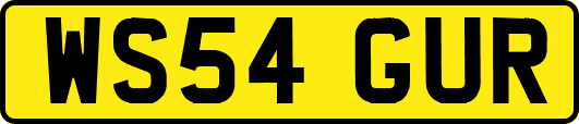 WS54GUR