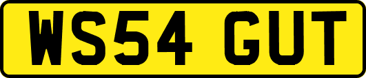 WS54GUT