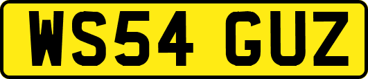 WS54GUZ