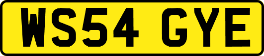 WS54GYE