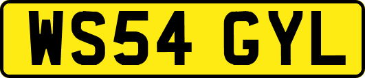 WS54GYL