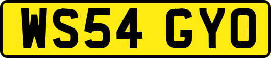 WS54GYO