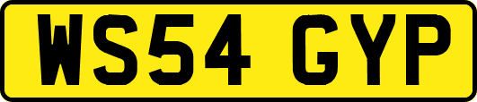 WS54GYP