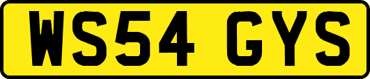 WS54GYS
