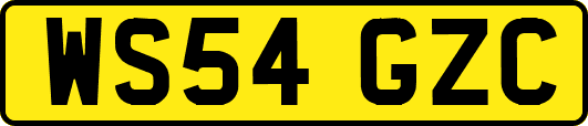 WS54GZC