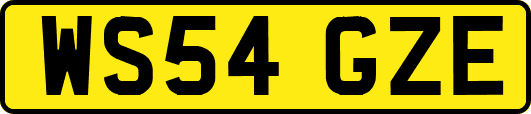 WS54GZE