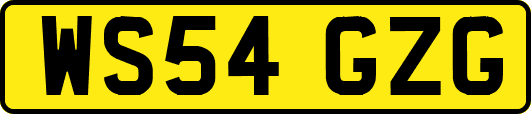 WS54GZG