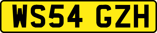 WS54GZH
