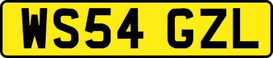 WS54GZL